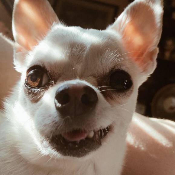 Meet your Posher, Jordan - Picture 1 of 1